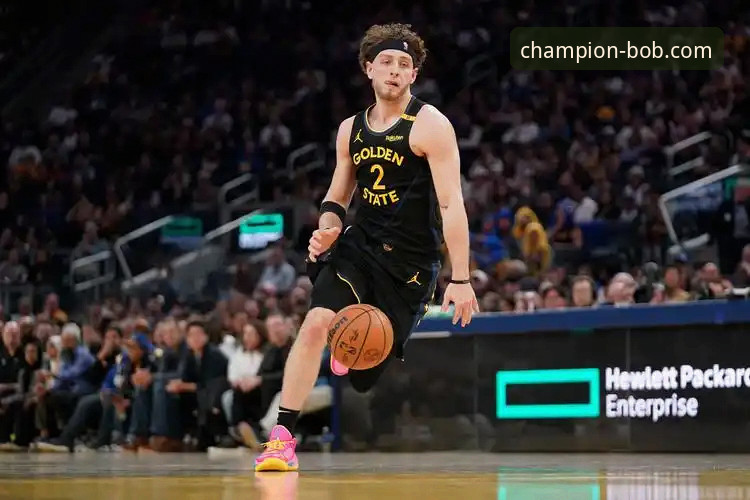 揭秘BOB半岛体育平台：网页版安全性与技术真相深度剖析